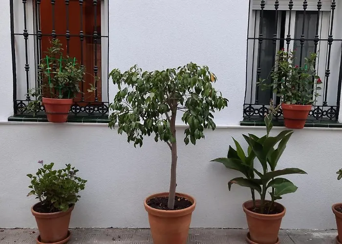 Carmona&House