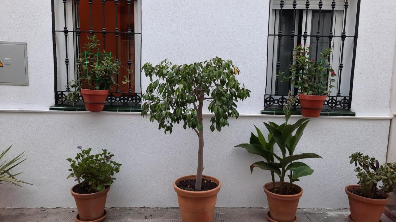 Carmona&house Apartment *
