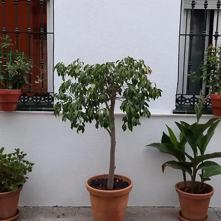 Carmona&House Appartement Sevilla Buitenkant foto